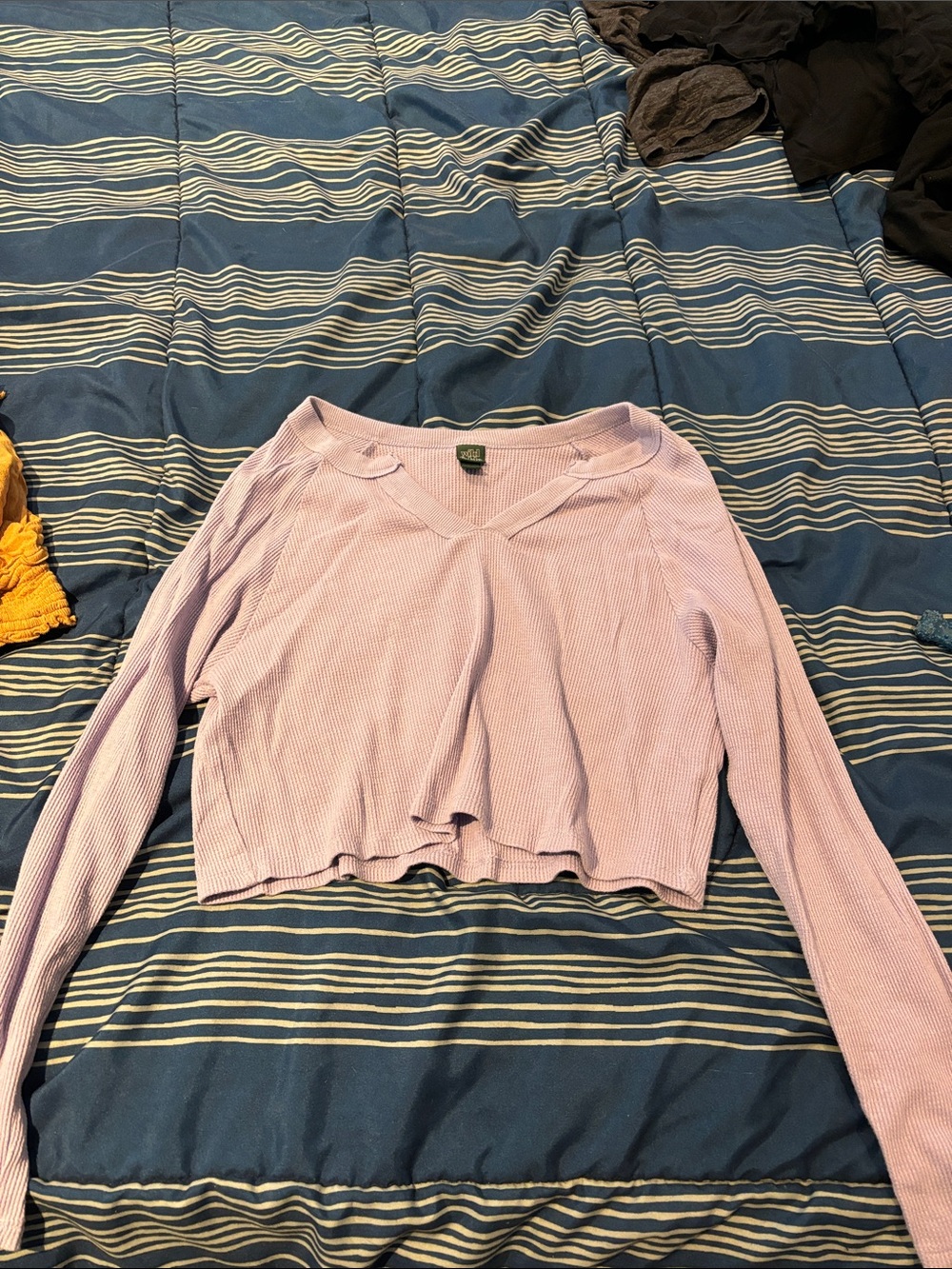 wild fable Lavender Ribbed V-Neck Long Sleeve Crop Top